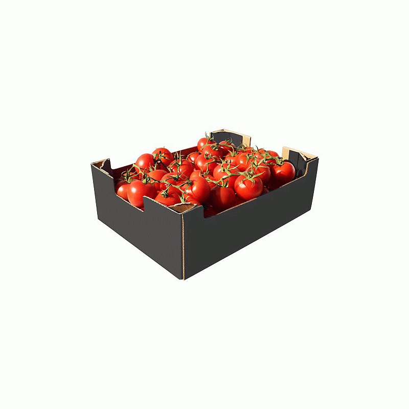 Fresh Tomatoes - Box